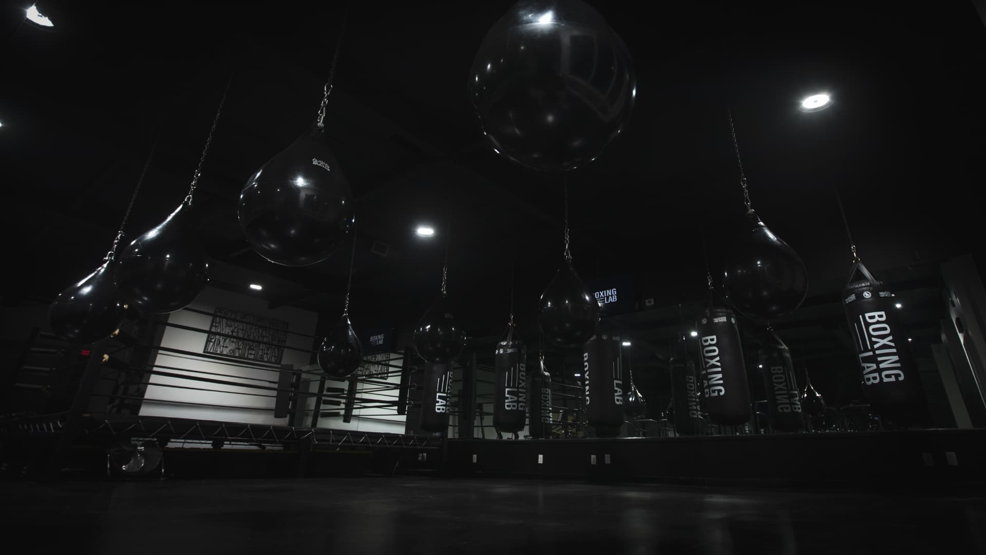 Punching bags hanging in the dark Boxing Lab gym in Newport Beach